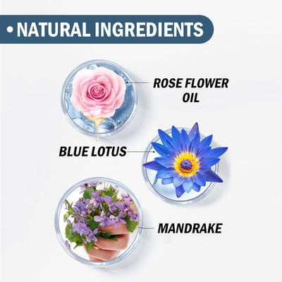 SilkyMist Hair & Body Spray – Refreshing All-Day Mist | Euroboutique